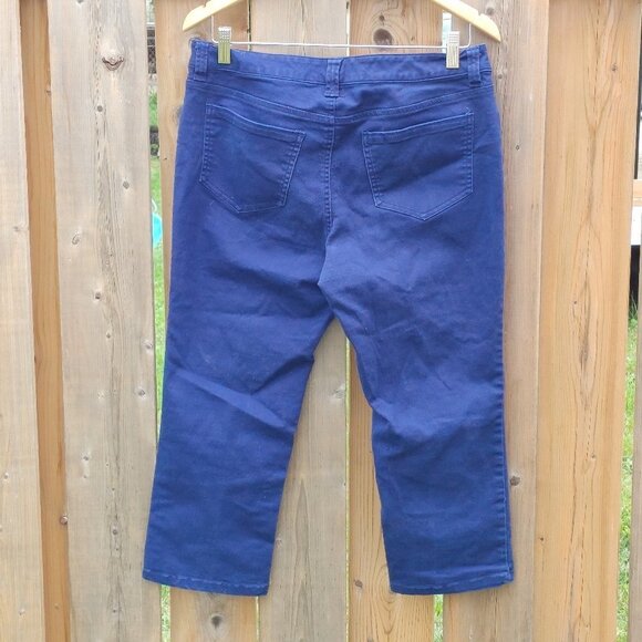 Attractive Ricki's Revolution Capri Pants Brook Capri Size 28 - Picture 6 of 6